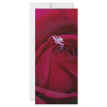 Loving the red rose and meaning personalized rack card