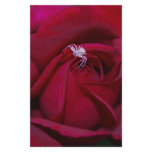 Loving the red rose and meaning custom stationery