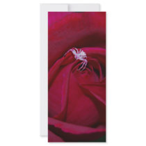 Loving The Rose rack cards