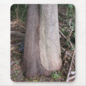 Loving Trees ~ mousepad by Andy2302 Loving Trees ~ mousepad