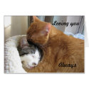 Loving you, Always 036 cards by okcshelter Loving you, Always 036 cards