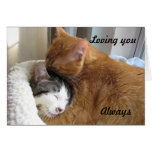 Loving you, Always 036 cards