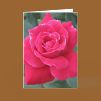 Loving you cards