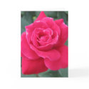 Loving you cards by iiiyaaa Loving you cards