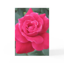 Loving you cards by iiiyaaa Loving you cards