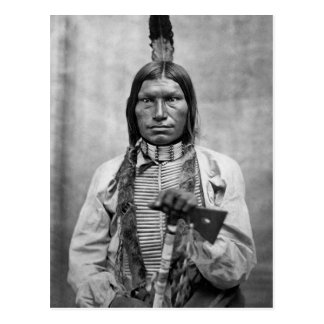 Native American Vintage 120