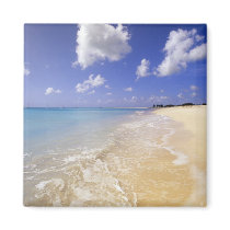 Low Bay Beach, Barbuda, Antigua Fridge Magnets