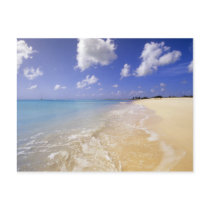 Low Bay Beach, Barbuda, Antigua Postcard