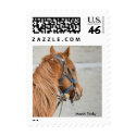Low Country postage