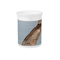 Low flying bird drink pitchers