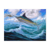 Low Flying Blue Marlin Postcards