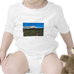Low Fog and Snow T Shirts