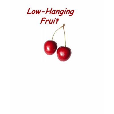 [Image: low_hanging_fruit_tshirt-p23524933949419...t2_400.jpg]