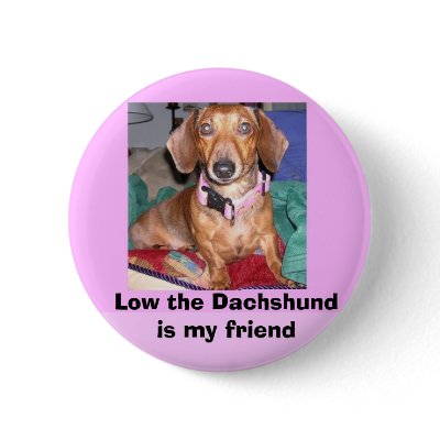 Low the Dachshund is my friend pin by Antmusic