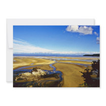 Low Tide, Abel Tasman National Park, South Island Custom Invites