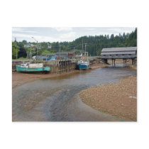 Low tide at the Bay of Fundy at St. Martins, New Postcards
