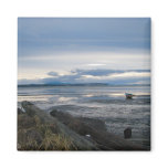 Low Tide magnets