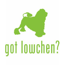 Lowchen t-shirts