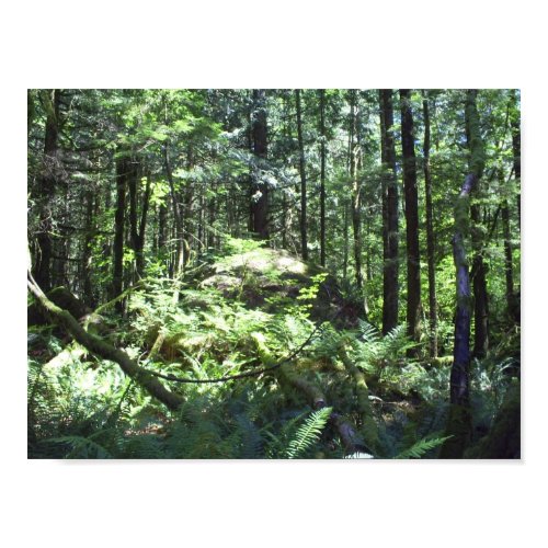 Lower Falls Forest print