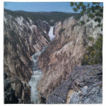 Lower Falls Printed Napkin