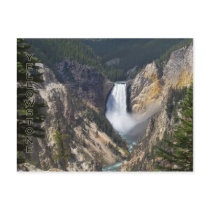 Lower Falls Postcards