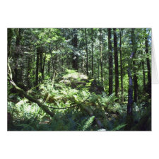Lower Falls Trail card