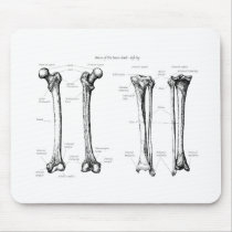 Lower Limb Grey Mouse Pad
