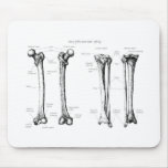 Lower Limb Grey Mouse Pad