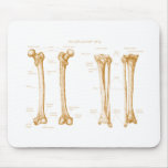 Lower Limb Sepia Mouse Pads