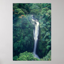 Lower Puohokama Falls in Fog Print