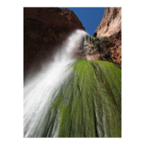 Lower Ribbon Falls posters