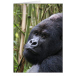 Lowland Gorilla Greeting Card