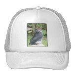 Lowland Gorilla in Sitting Pose Trucker Hats