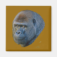 Lowland Gorilla Magnet