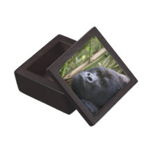 Lowland Gorilla Premium Gift Box
