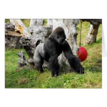 Lowland silverback gorilla walking cards