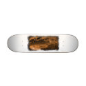 Lowrider Skate board skateboards