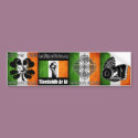 LSS Irish 4 Bumperstickers