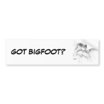 LTB Bumper Sticker bumper stickers
