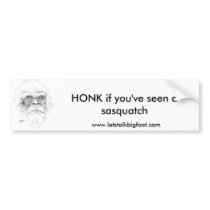 LTB Bumper Sticker