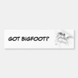 LTB Bumper Sticker