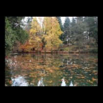 Luarelhurst Park in the Fall posters
