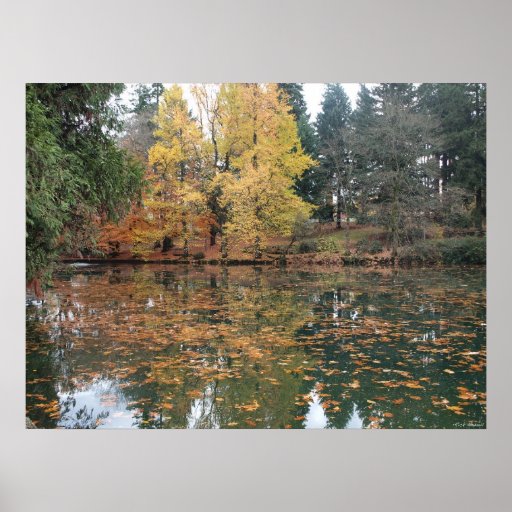 Luarelhurst Park in the Fall Print