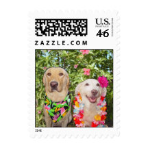Luau Lab Postage