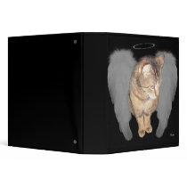 Lucian Angel 2.2" Binder