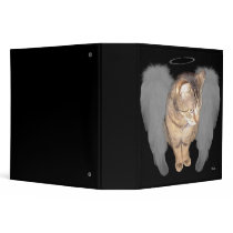 Lucian Angel 2.8" Binder