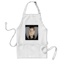 Lucian Angel Aprons