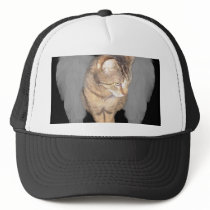 Lucian Angel Hat