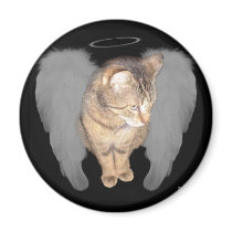 Lucian Angel magnets