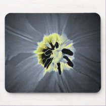 LucidMak mousepads